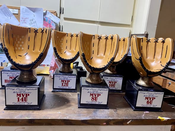 Academic achievement award trophy for student recognition